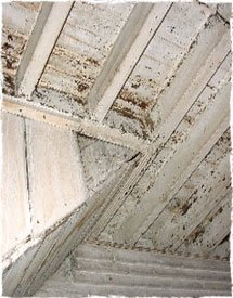 Timber floor is supported by timber joist.